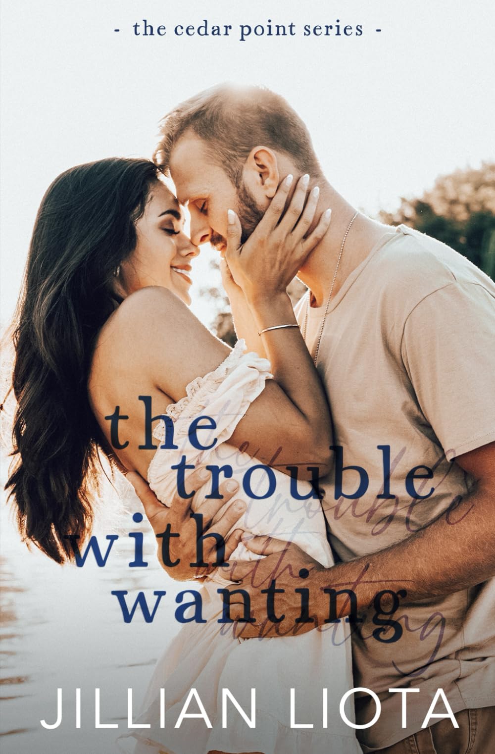 The Trouble with Wanting (Cedar Point, Band 1) Contemporary literature
