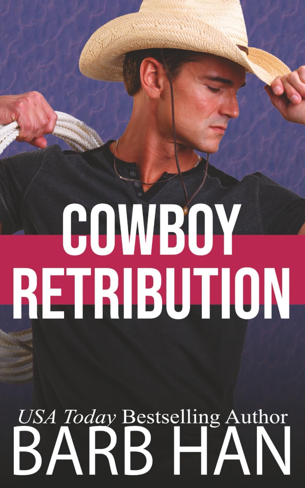 Cowboy Retribution (Cowboys of Cattle Cove, Band 3) Contemporary literature