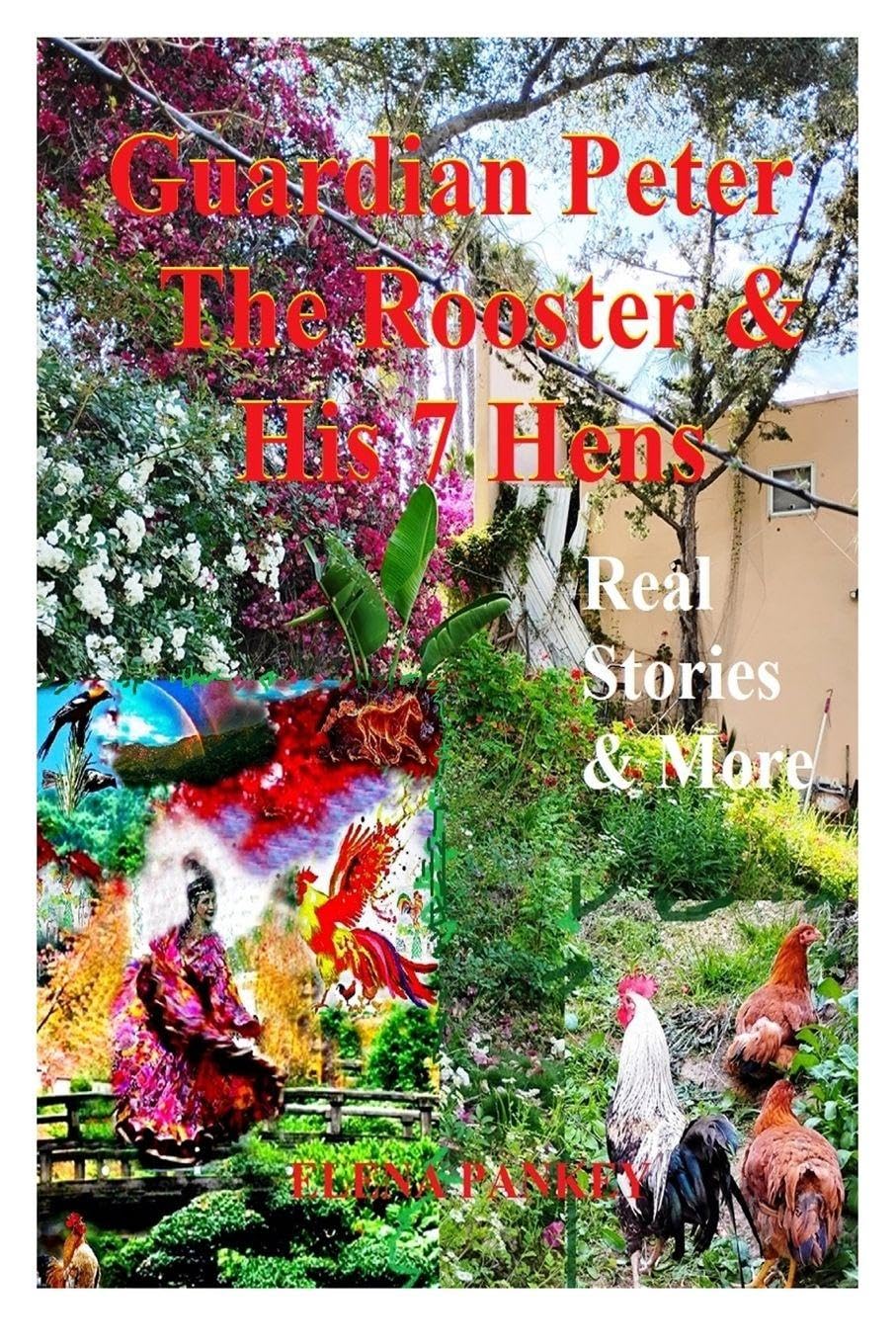 Guardian Peter The Rooster & His 7 Hens. Real Stories & More Pets