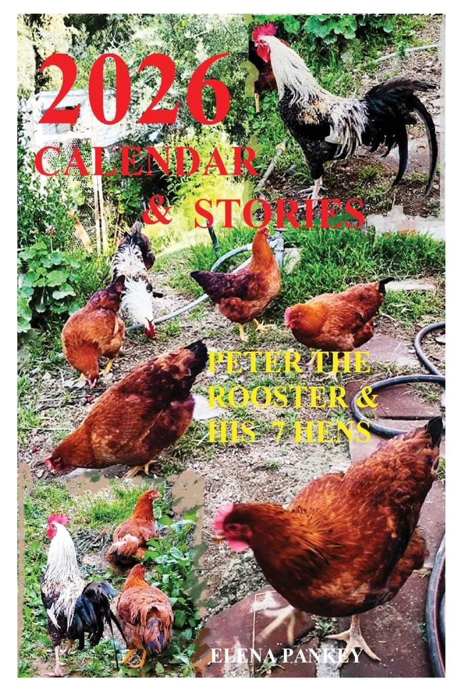 Calendar 2026 & Stories. Peter the Rooster & His 7 Hens" Mathematics