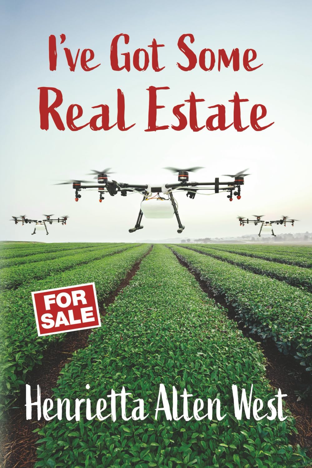 I've Got Some Real Estate Action & Adventure