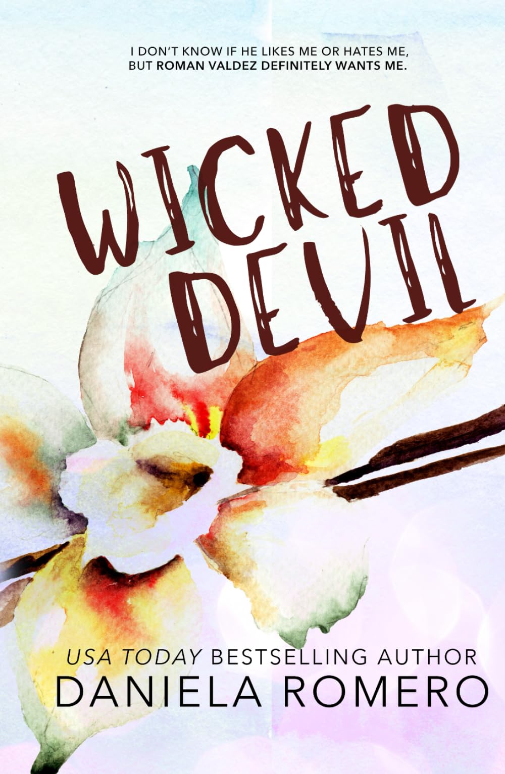 Wicked Devil: An Enemies to Lovers, High School Bully Romance (Boys of Sun Valley, Band 1) New Adult