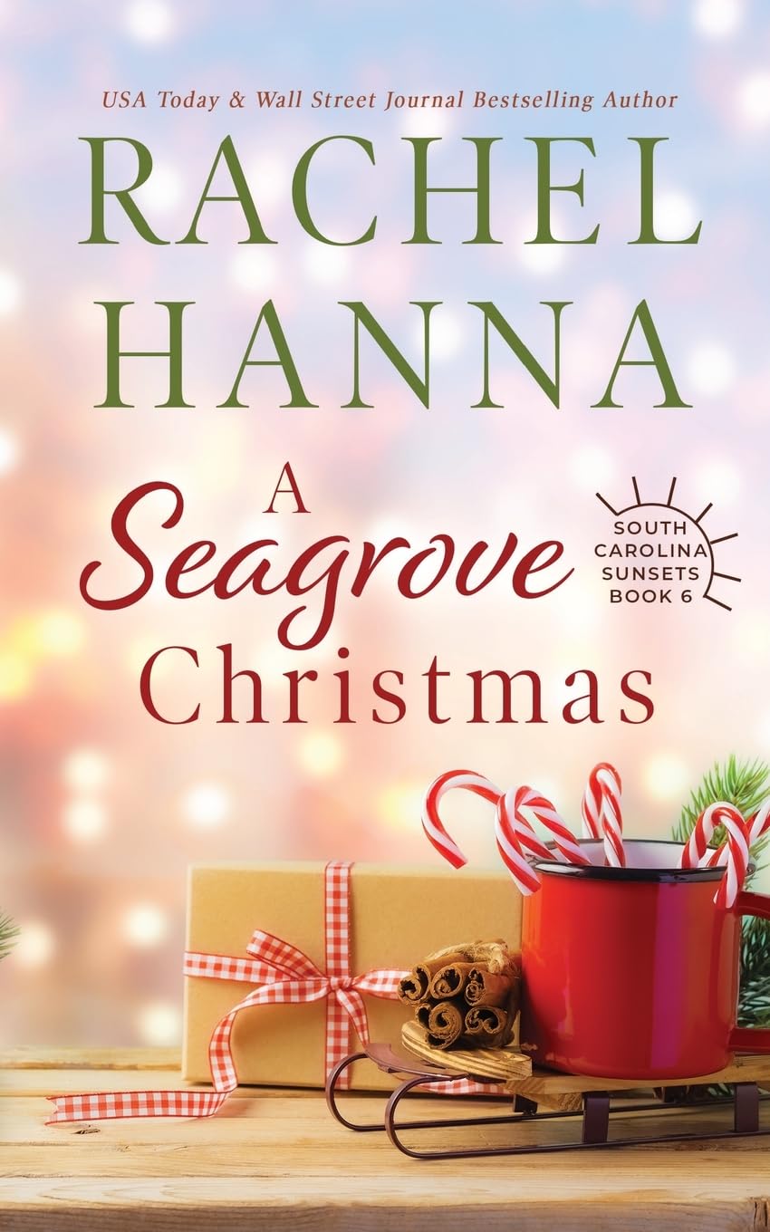 A Seagrove Christmas (South Carolina Sunsets, Band 6) Contemporary literature