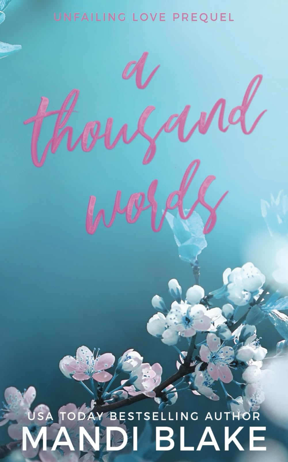 A Thousand Words: A Small Town Christian Romance (Unfailing Love) Religion & Esotericism