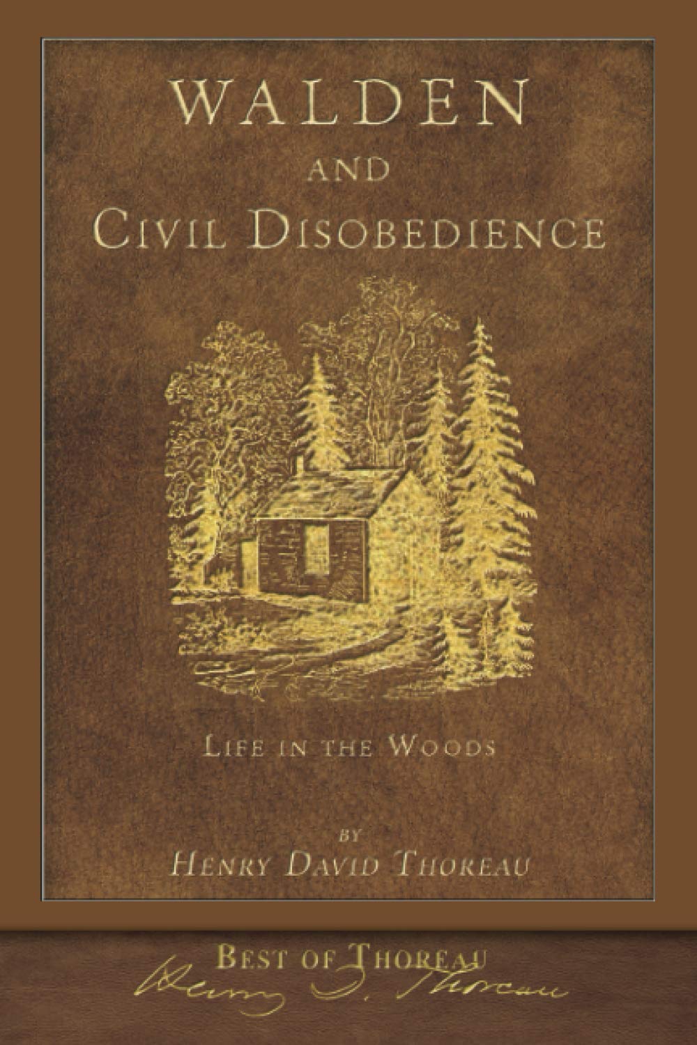 Best of Thoreau: Walden and Civil Disobedience (Illustrated) Classics