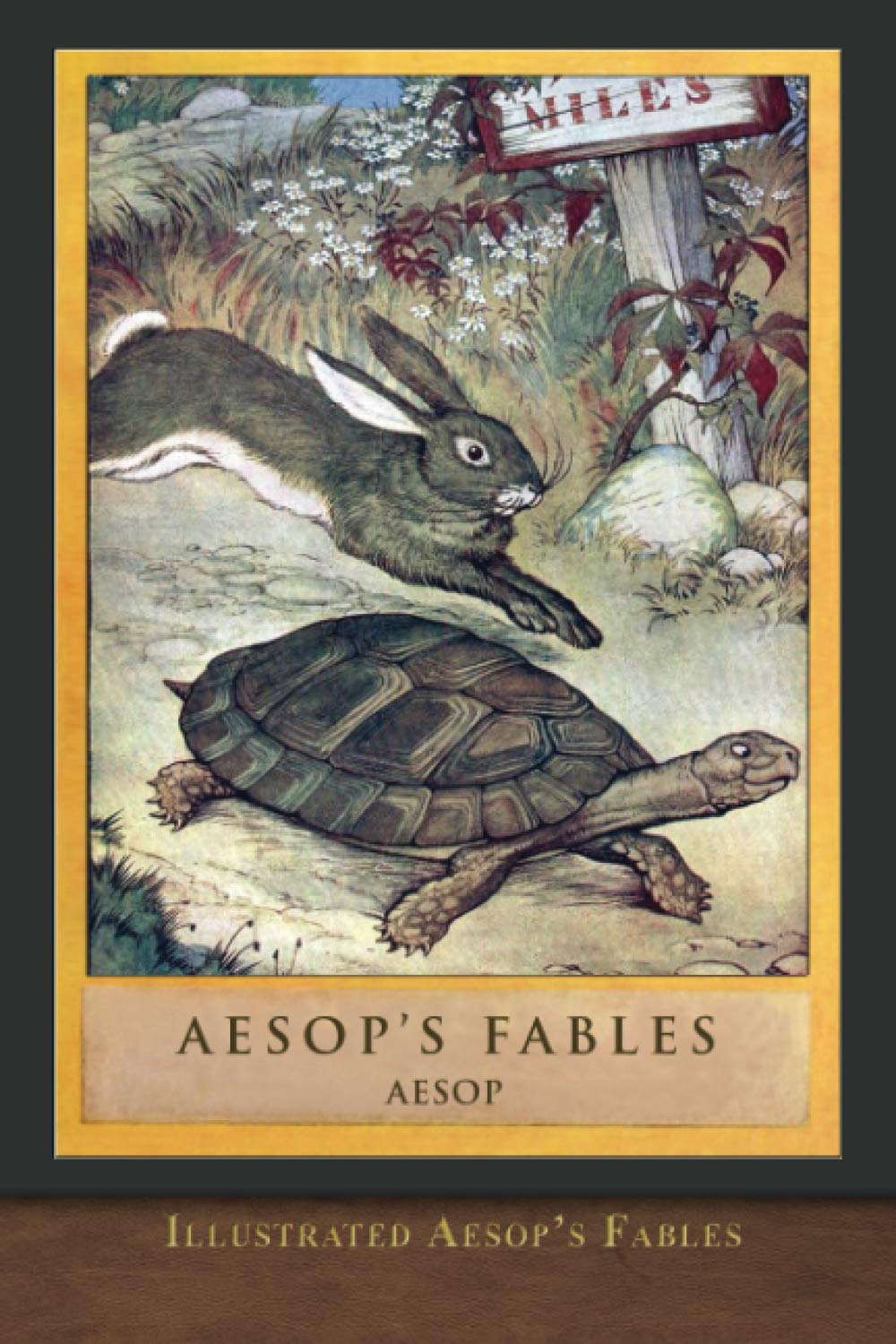 Illustrated Aesop's Fables: Classic Edition Classics