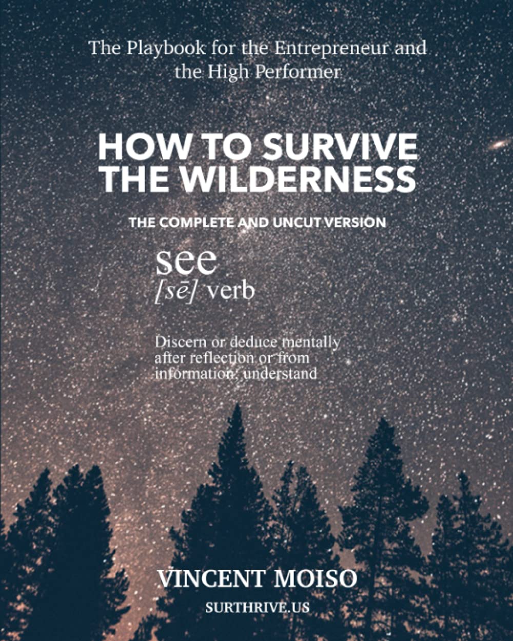 How to Survive the Wilderness: The Playbook for the Entrepreneur and High Performer Business, Finance & Career
