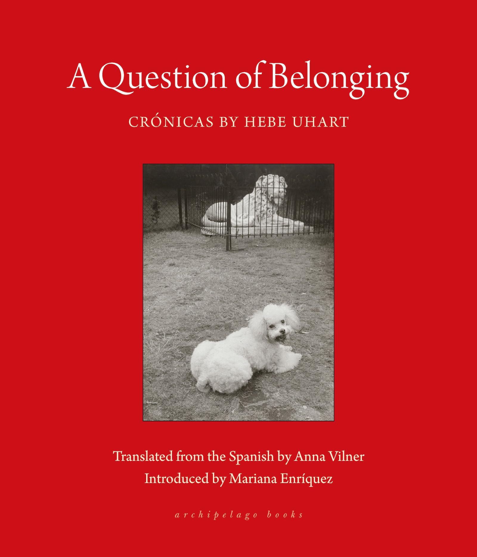A Question of Belonging: Crónicas Humour & Satire
