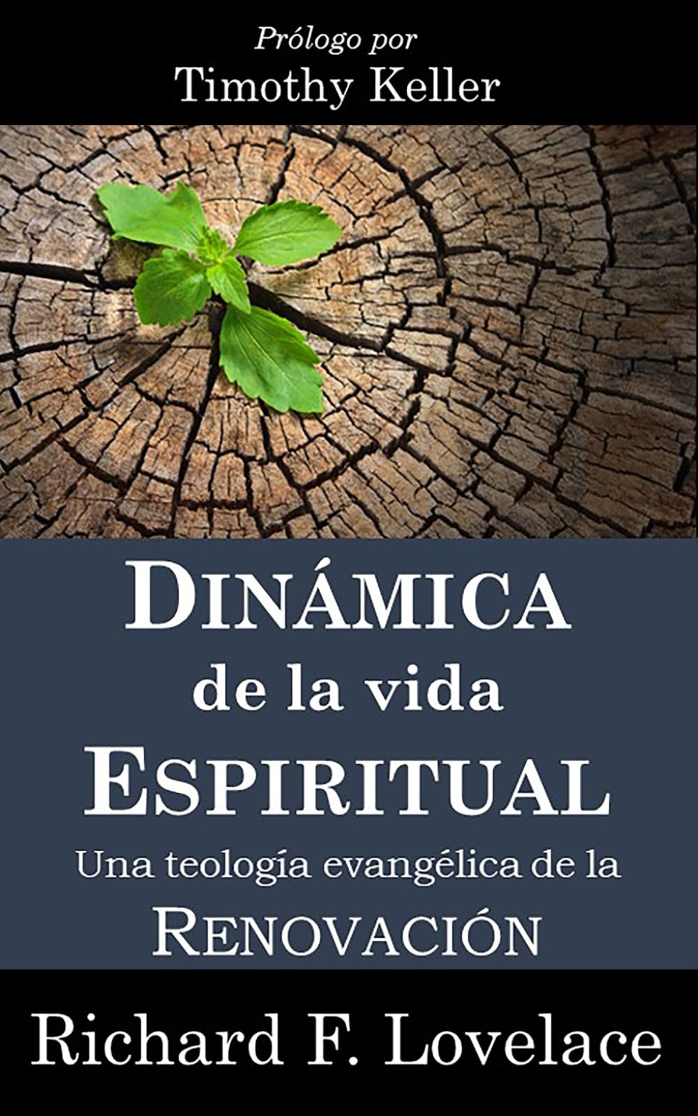 Dinámica de la Vida Espiritual: Una Teología Evangélica de la Renovación Religion & Esotericism