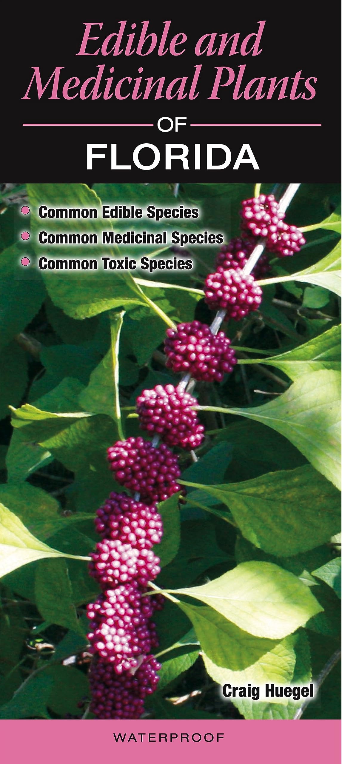 Edible and Medicinal Plants of Florida Books