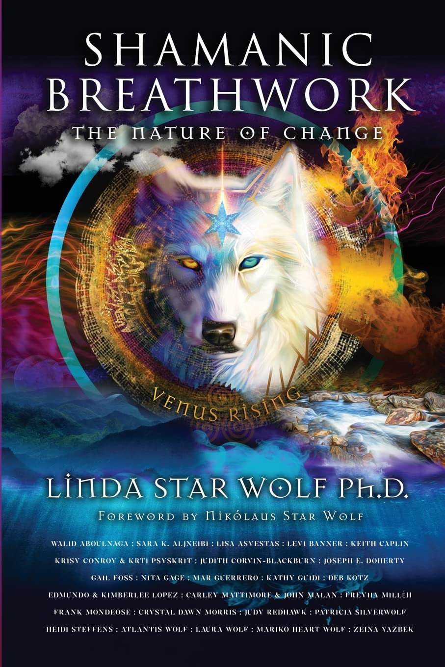 Shamanic Breathwork Medicine Books