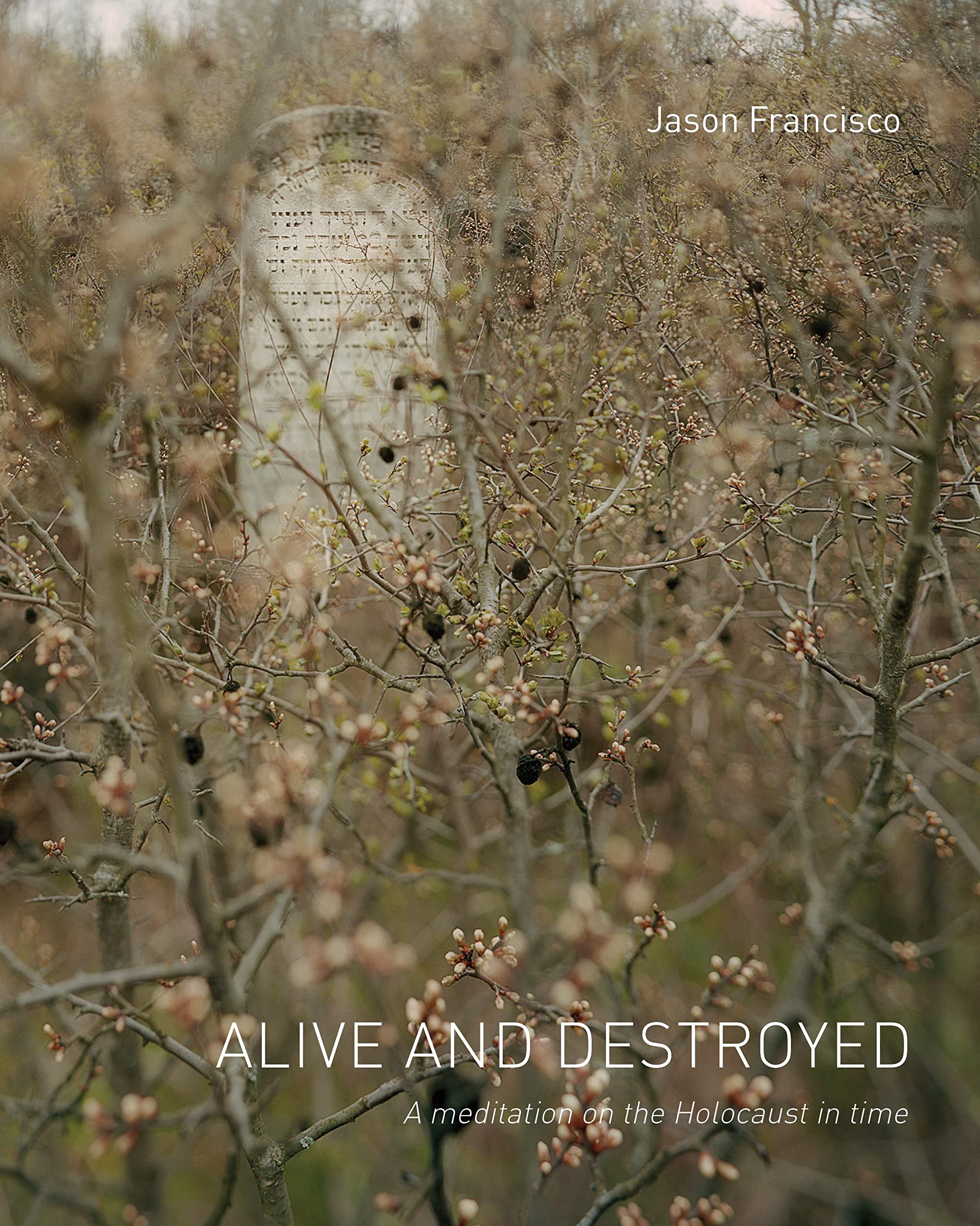 Alive and Destroyed: A Meditation on the Holocaust in Time Religion & Esotericism