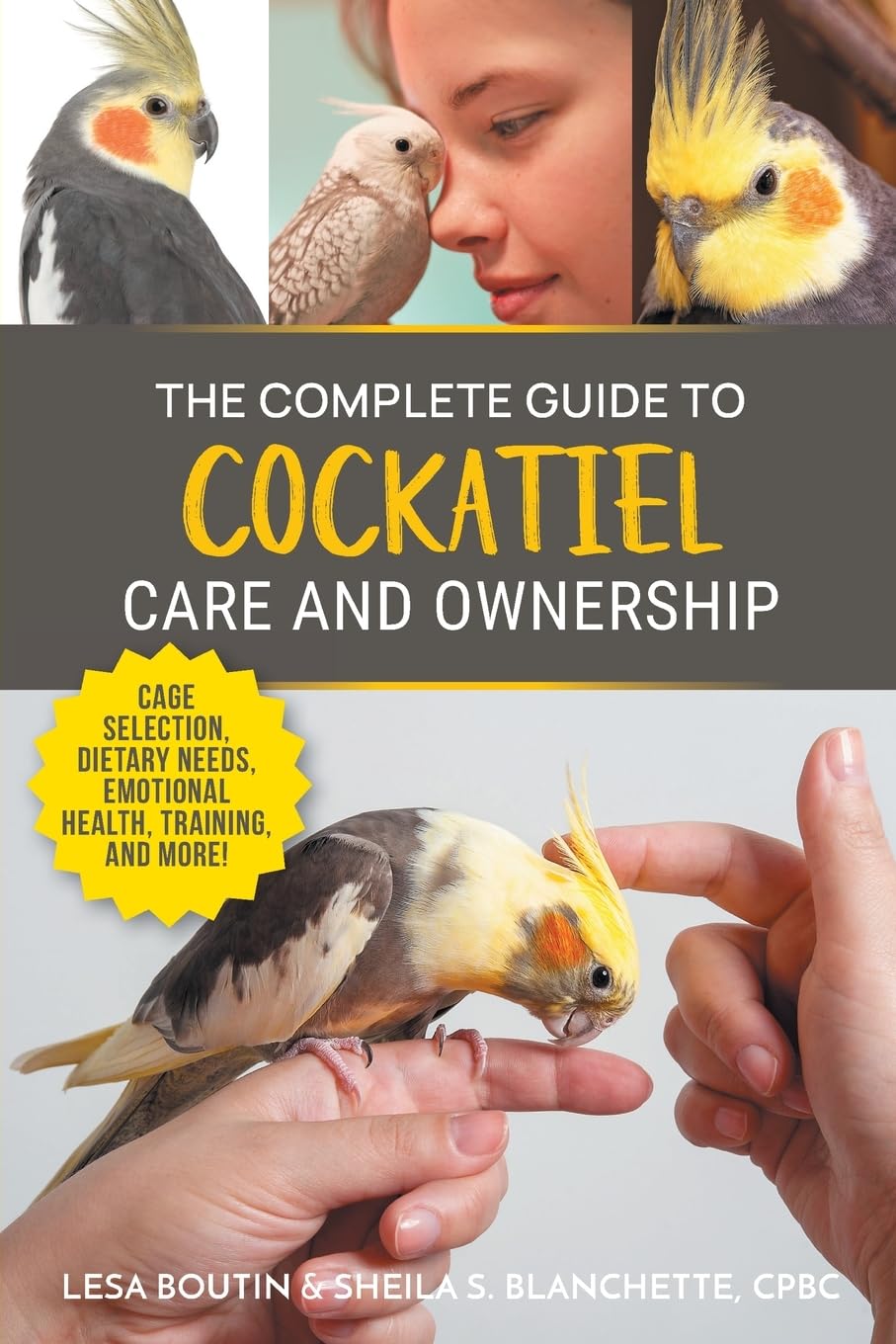 The Complete Guide to Cockatiel Care and Ownership Pets