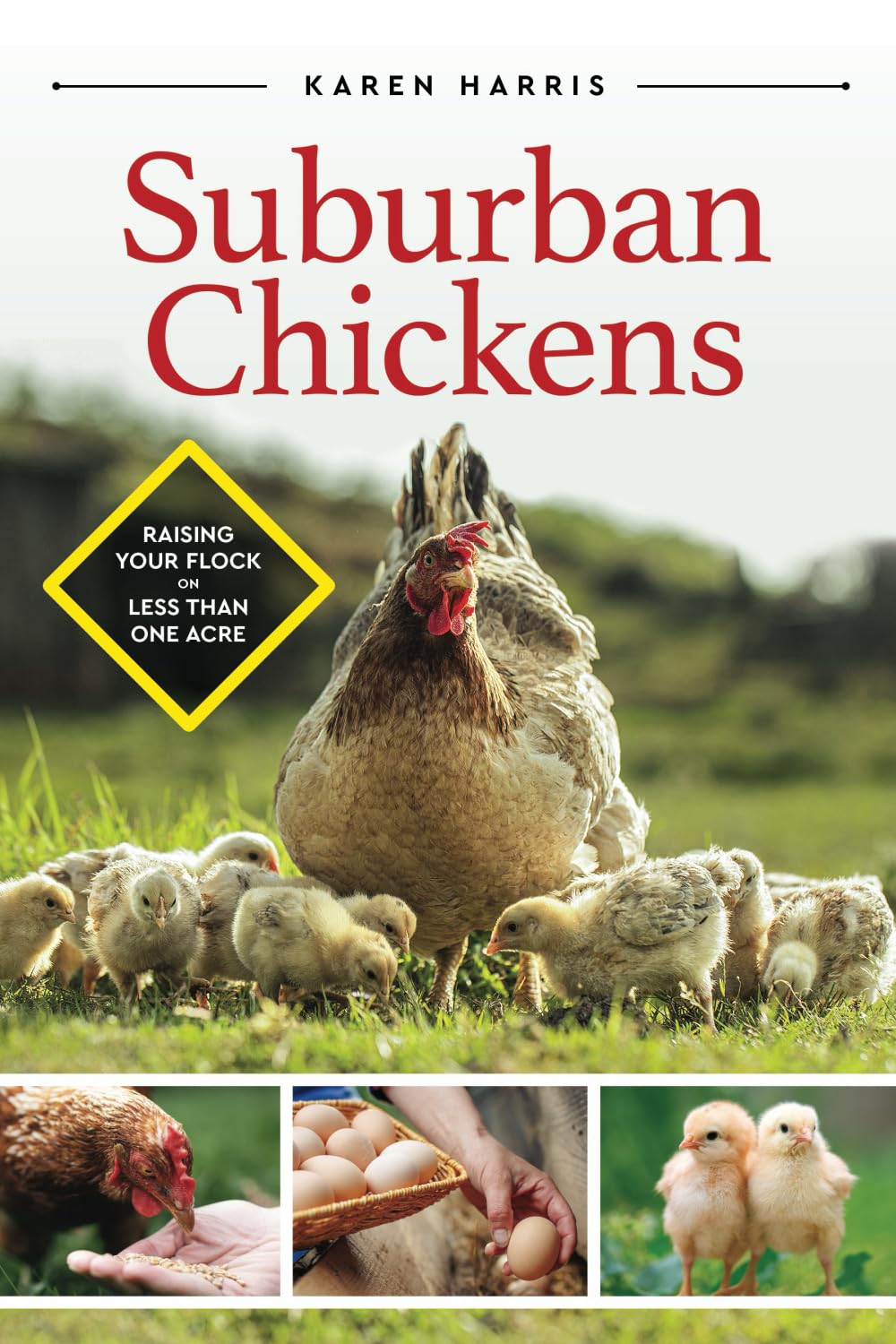 Suburban Chickens: Raising Your Flock on Less Than One Acre Pets