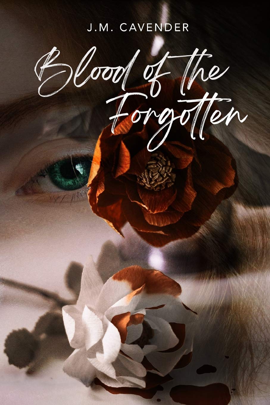 Blood of the Forgotten Contemporary literature