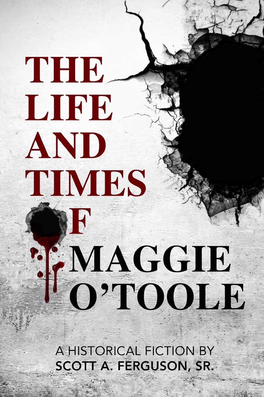 The Life and Times of Maggie O'Toole Contemporary literature