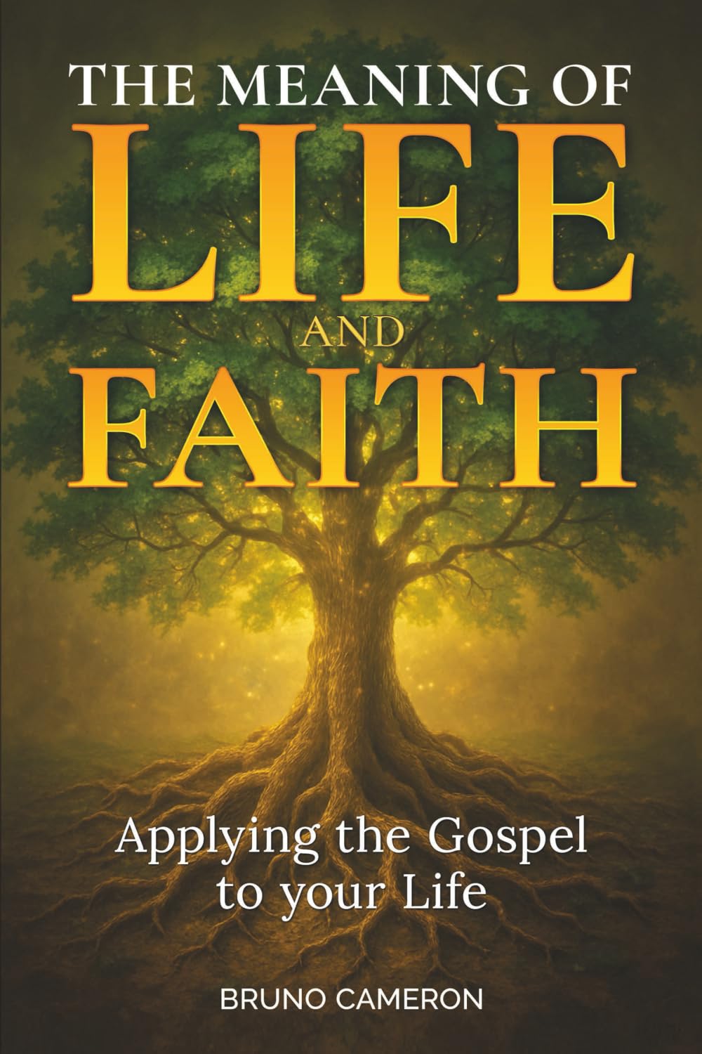 The Meaning of Life and Faith Religion & Esotericism