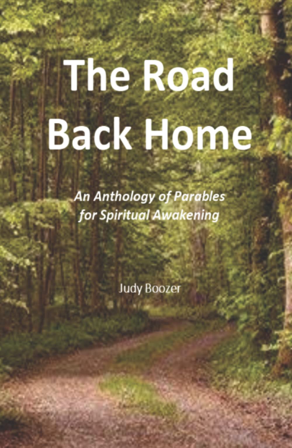 The Road Back Home: An Anthology of Parables for Spiritual Awakening Religion & Esotericism