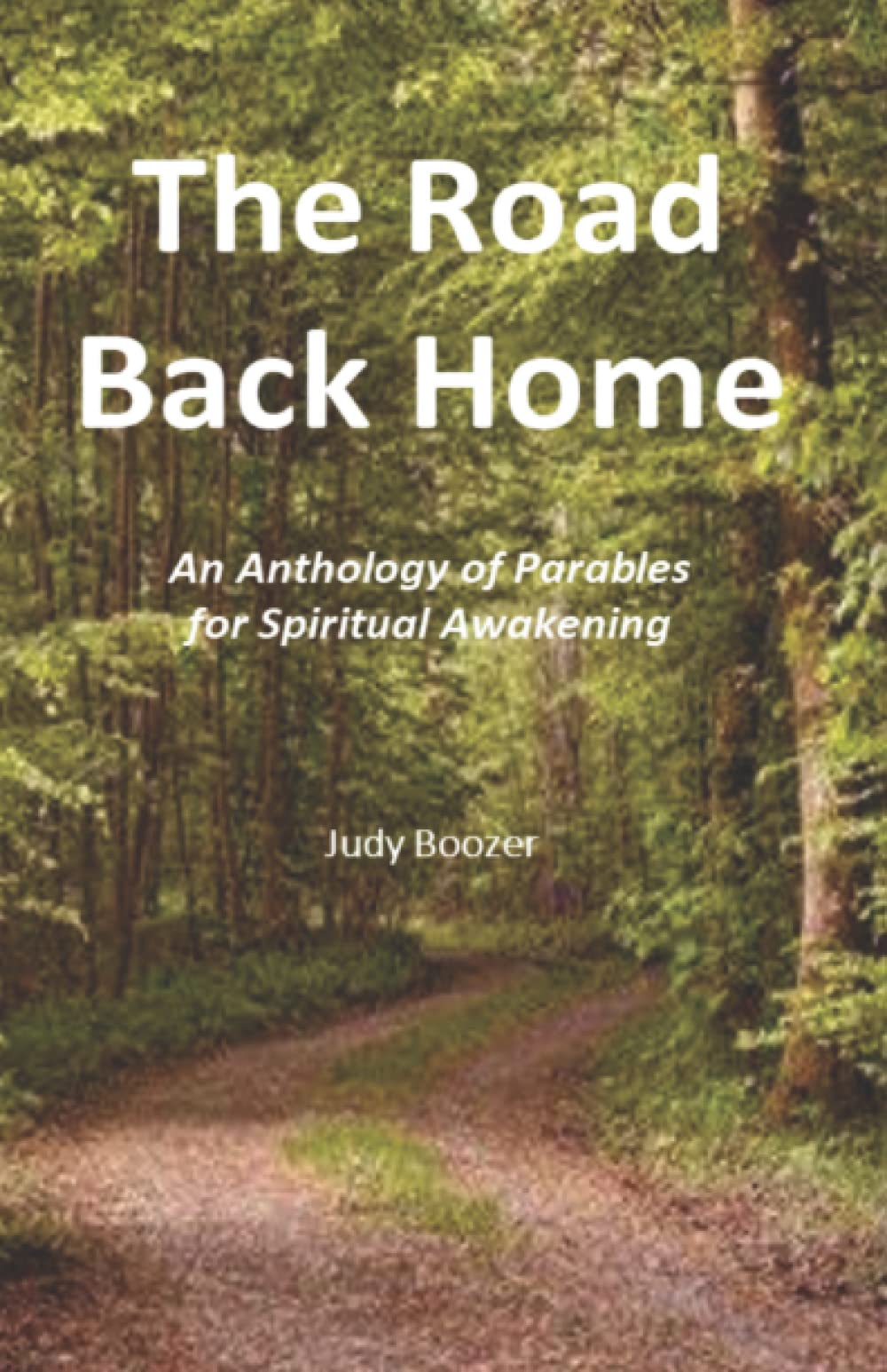 The Road Back Home: An Anthology of Parables for Spiritual Awakening Religion & Esotericism