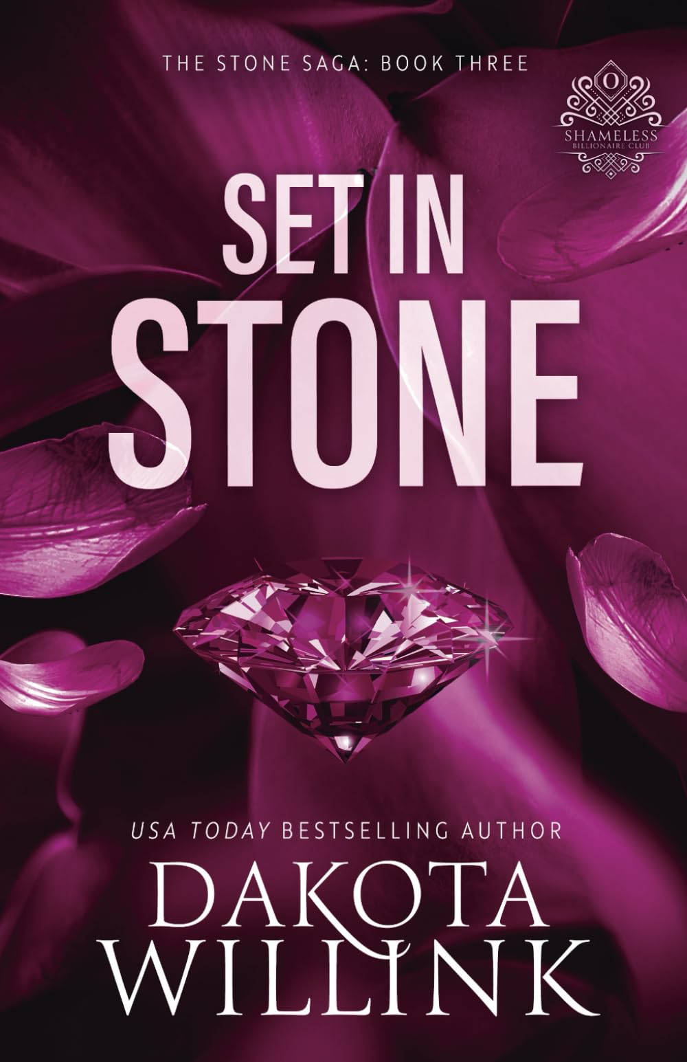 Set In Stone (The Stone Saga, Band 3) Action & Adventure