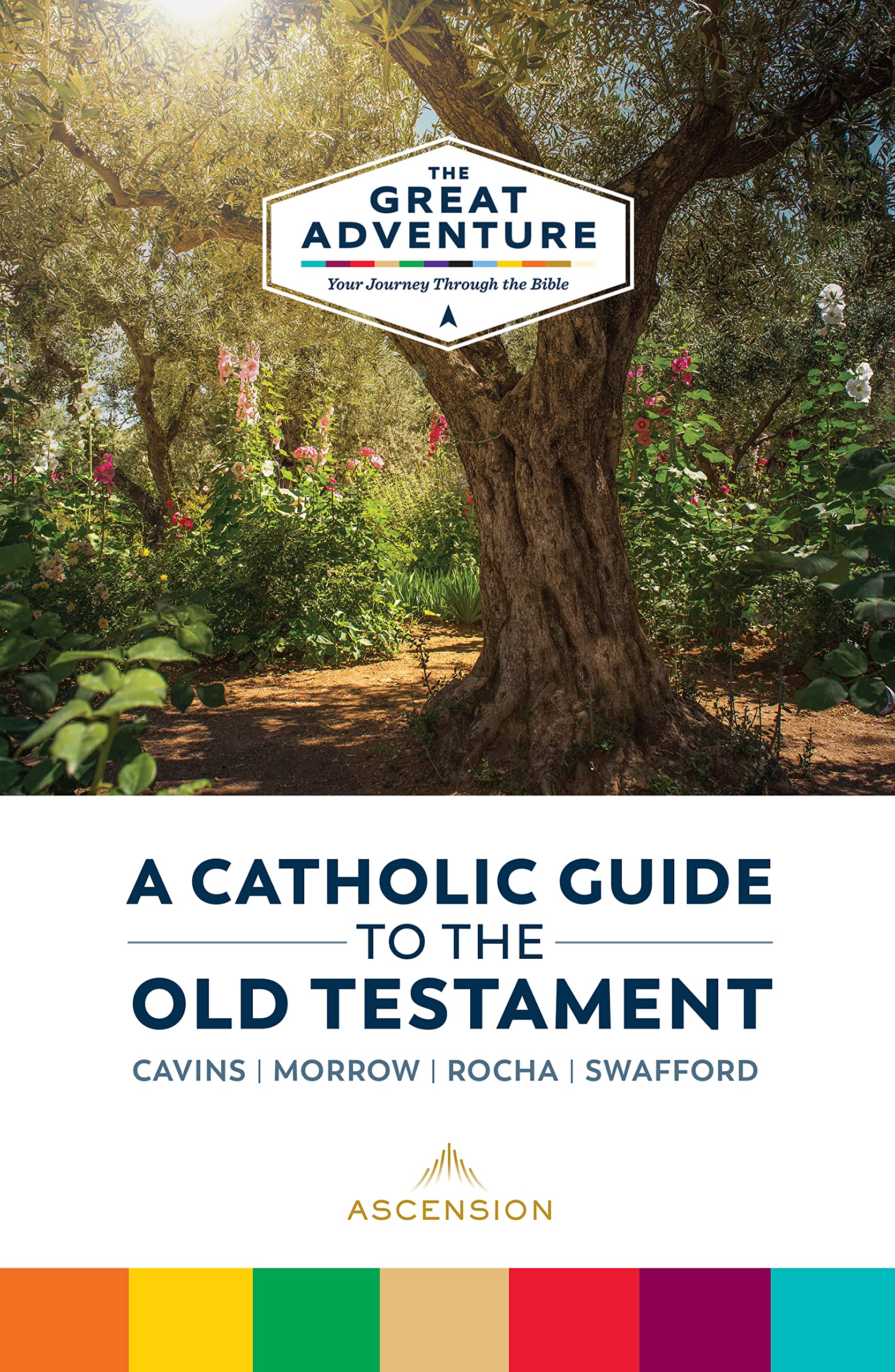 A Catholic Guide to the Old Testament (Great Adventure: Your Journey Through the Bible) Religion & Esotericism