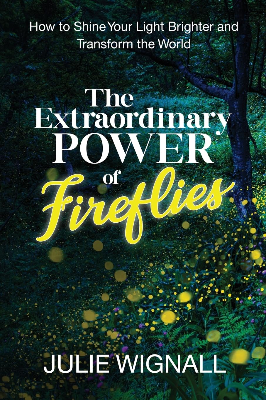 The Extraordinary Power of Fireflies: How to Shine Your Light Brighter and Transform the World book