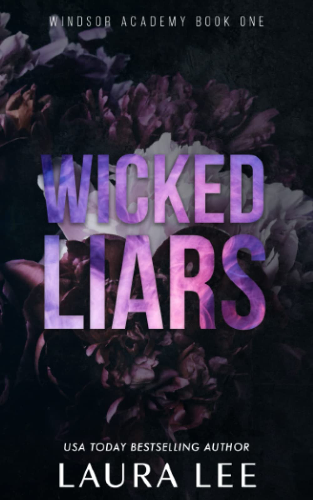 Wicked Liars - Special Edition: A Dark High School Bully Romance (Windsor Academy, Band 1) Contemporary literature
