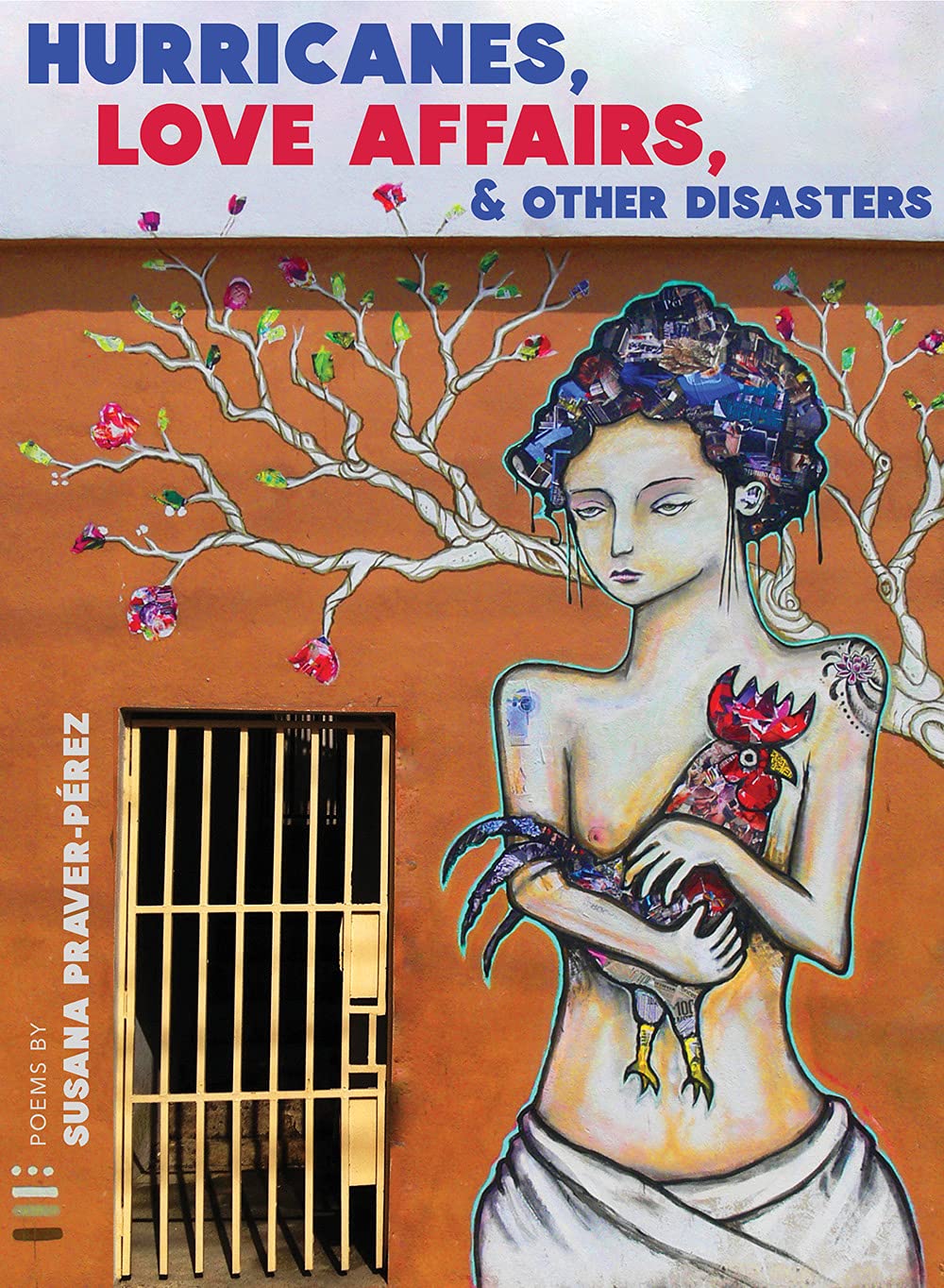 Hurricanes, Love Affairs, & Other Disasters Poetry