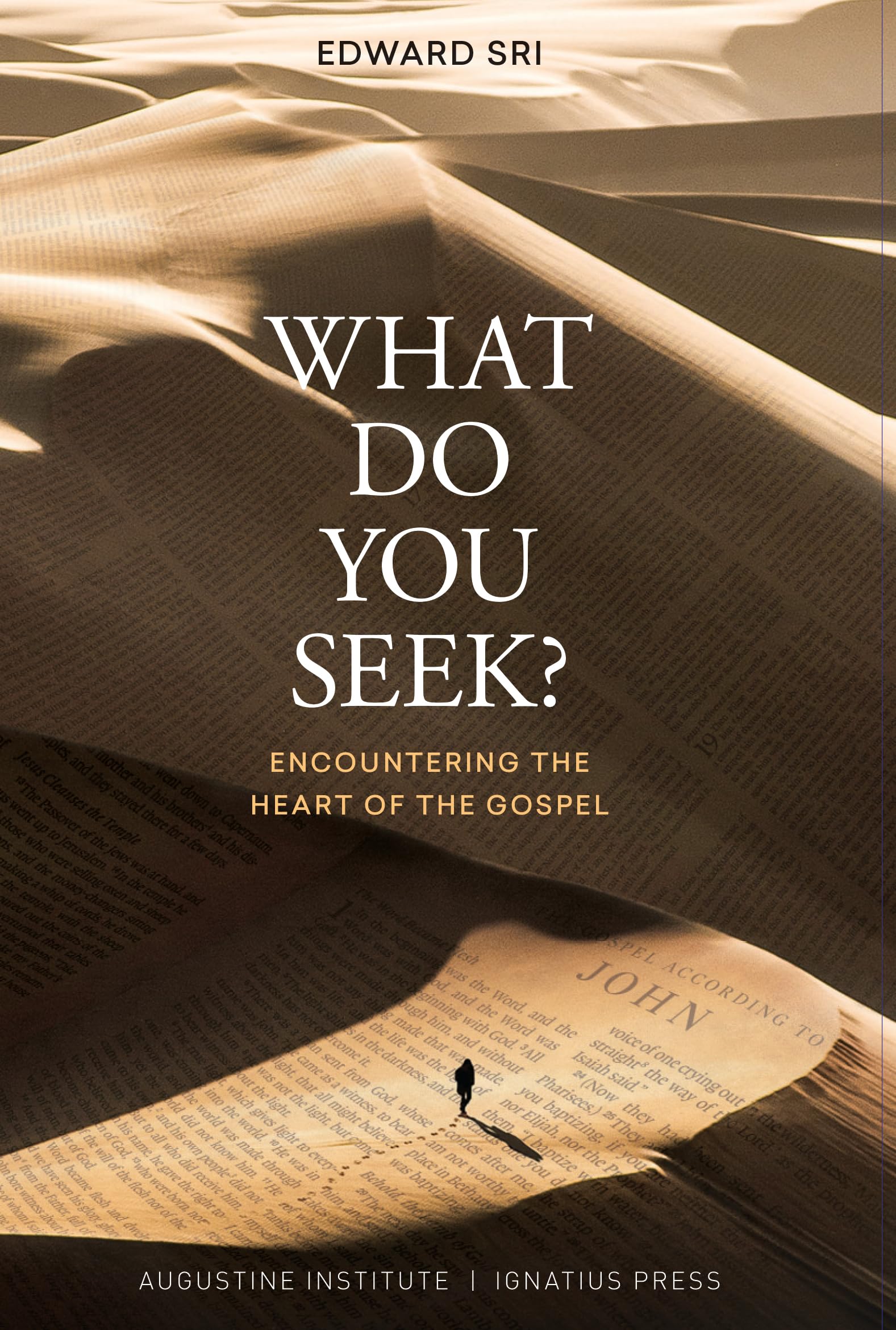 What Do You Seek?: Encountering the Heart of the Gospel Religion & Esotericism