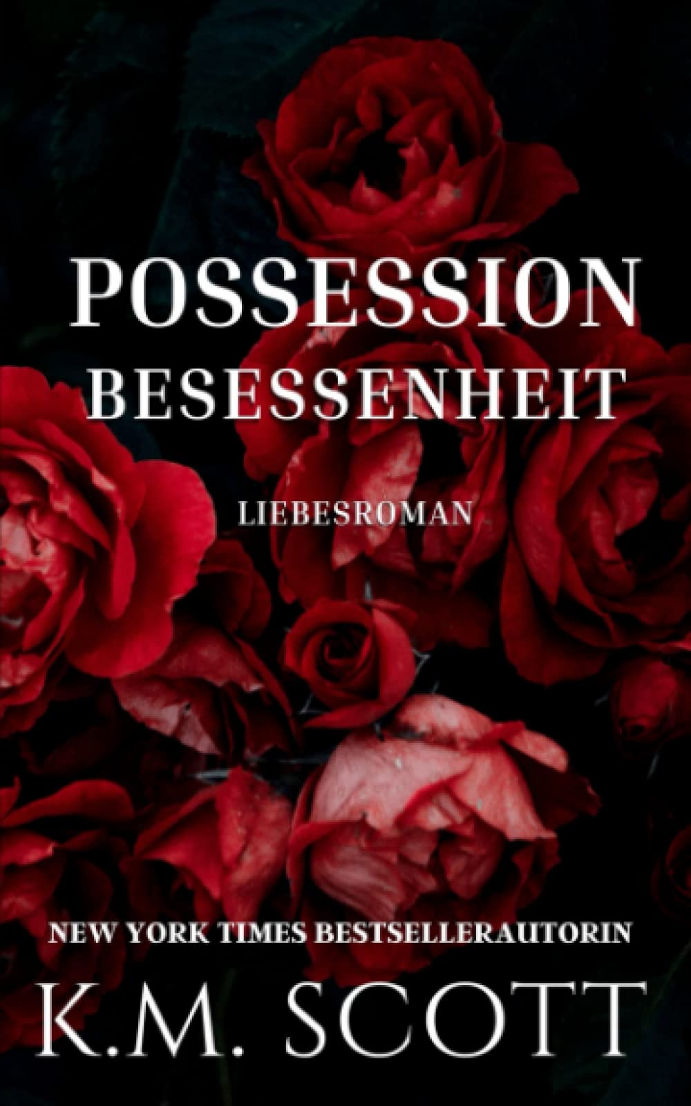 Possession Besessenheit (Club X, Band 3) Contemporary Romance