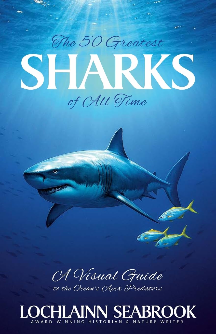 The Greatest Sharks of All Time Leisure, Home & Garden