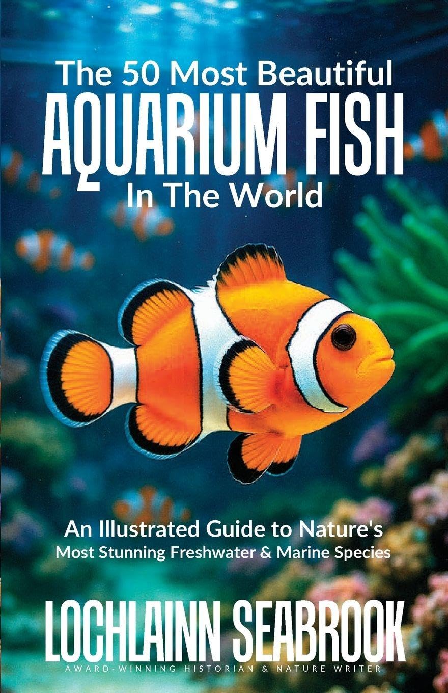 The 50 Most Beautiful Aquarium Fish in the World Pets