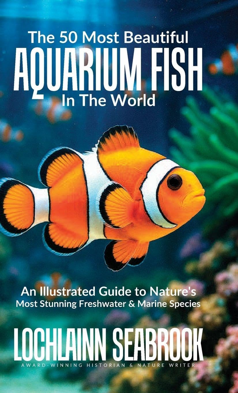 The 50 Most Beautiful Aquarium Fish in the World Pets