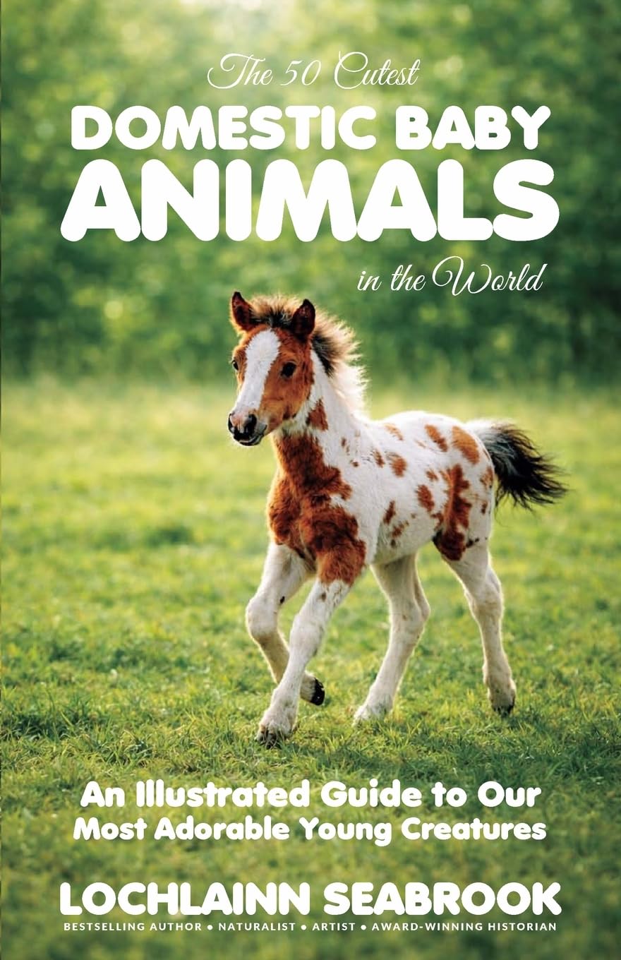 The 50 Cutest Domestic Baby Animals in the World Pets