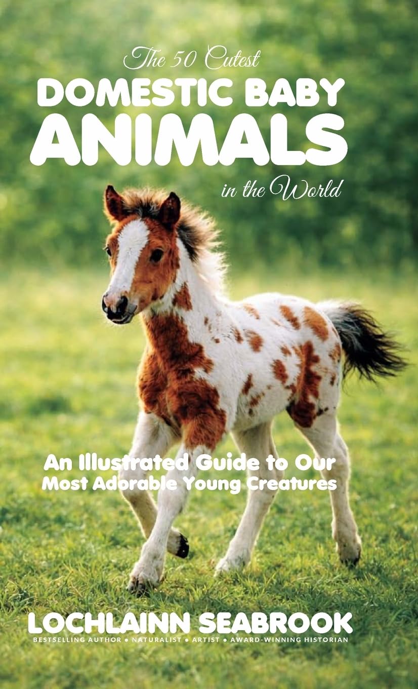 The 50 Cutest Domestic Baby Animals in the World Pets