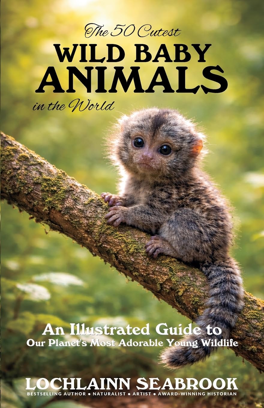 The 50 Cutest Wild Baby Animals in the World Leisure, Home & Garden