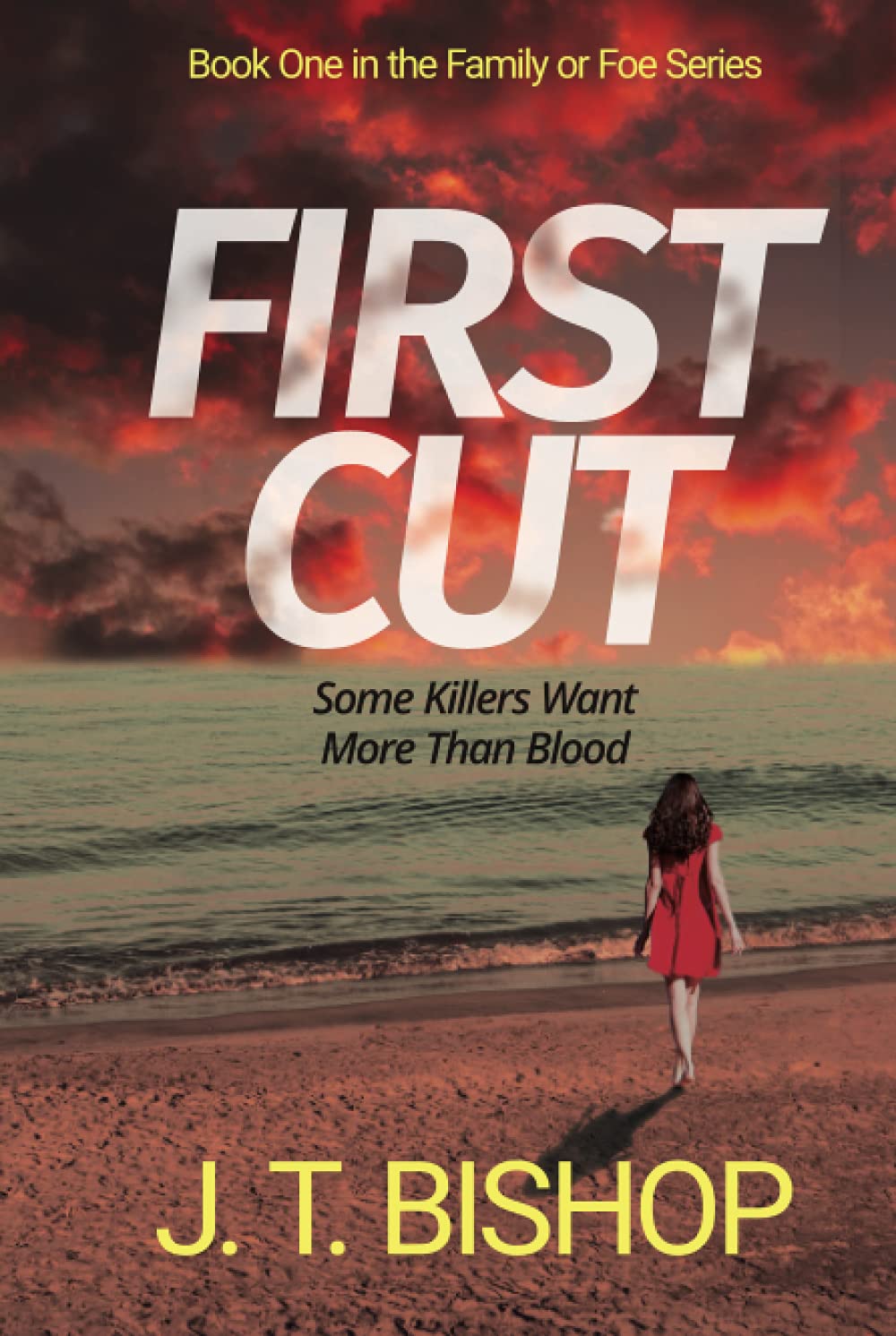 First Cut: A Detectives Daniels and Remalla Thriller Novel (The Family or Foe Series, Band 1) Detective & CSI