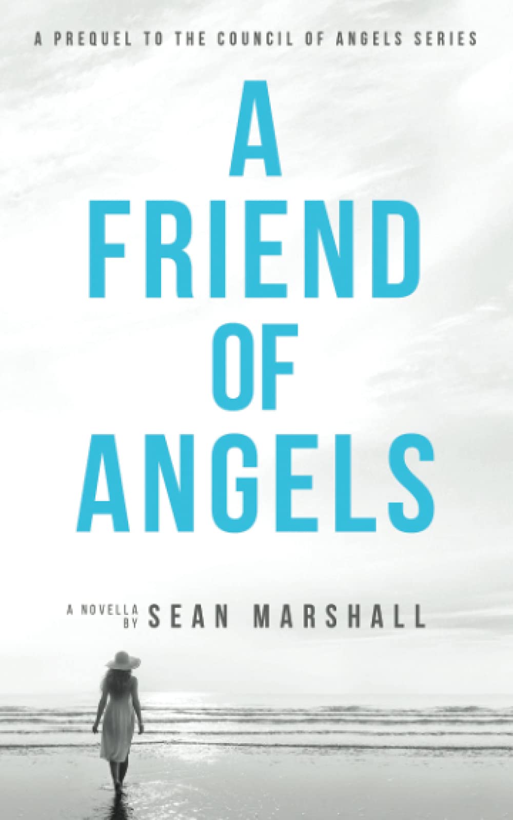 A Friend of Angels: A Prequel Novella to the Council of Angels Series (A Council of Angels Series) Contemporary literature Books