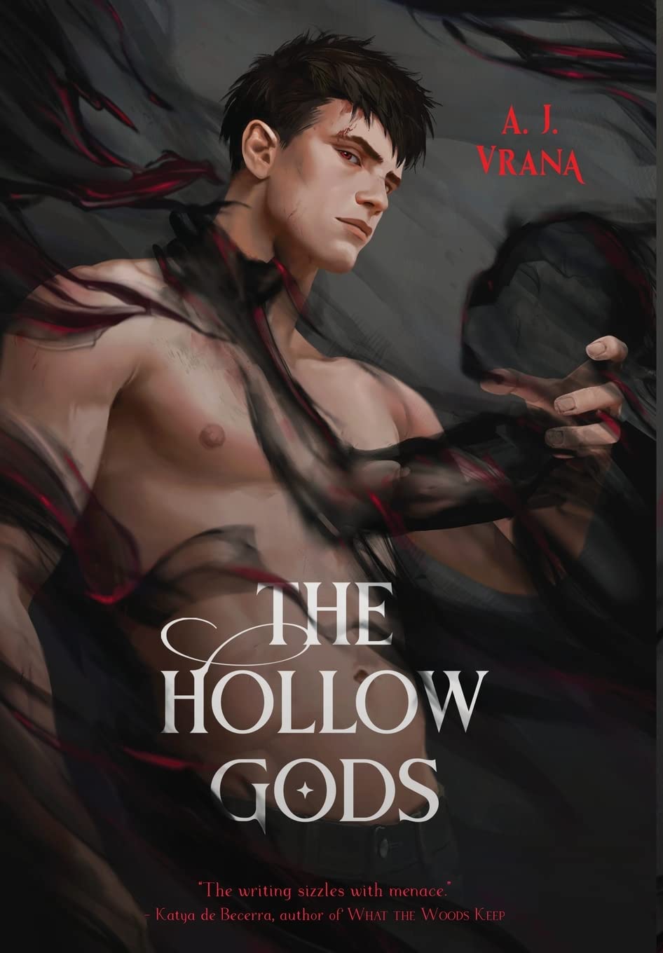 The Hollow Gods (The Chaos Cycle, Band 1) Contemporary literature