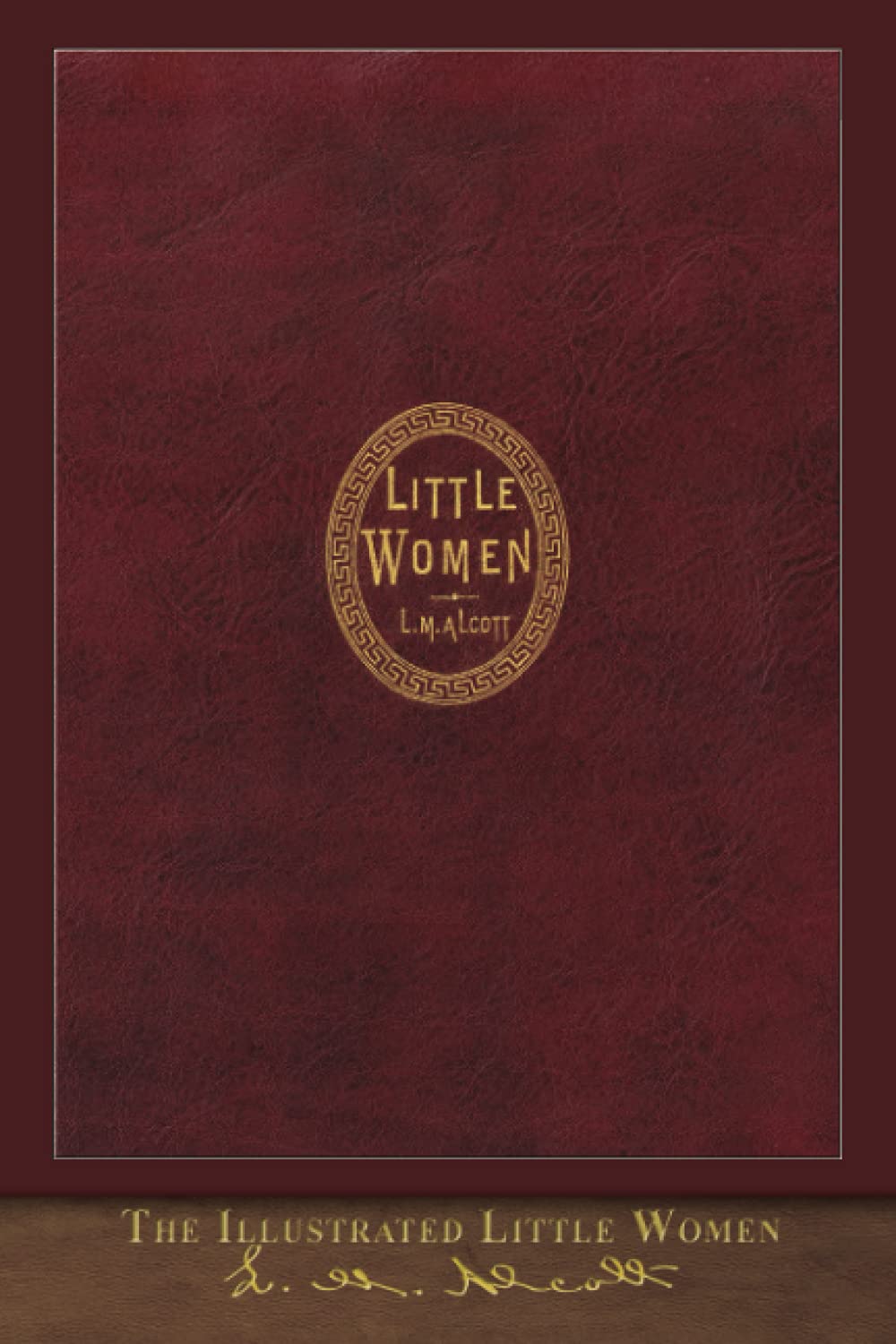Illustrated Little Women: First Edition Cover Contemporary literature
