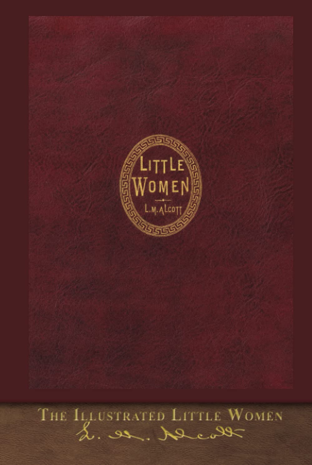 Illustrated Little Women: First Edition Cover Contemporary literature