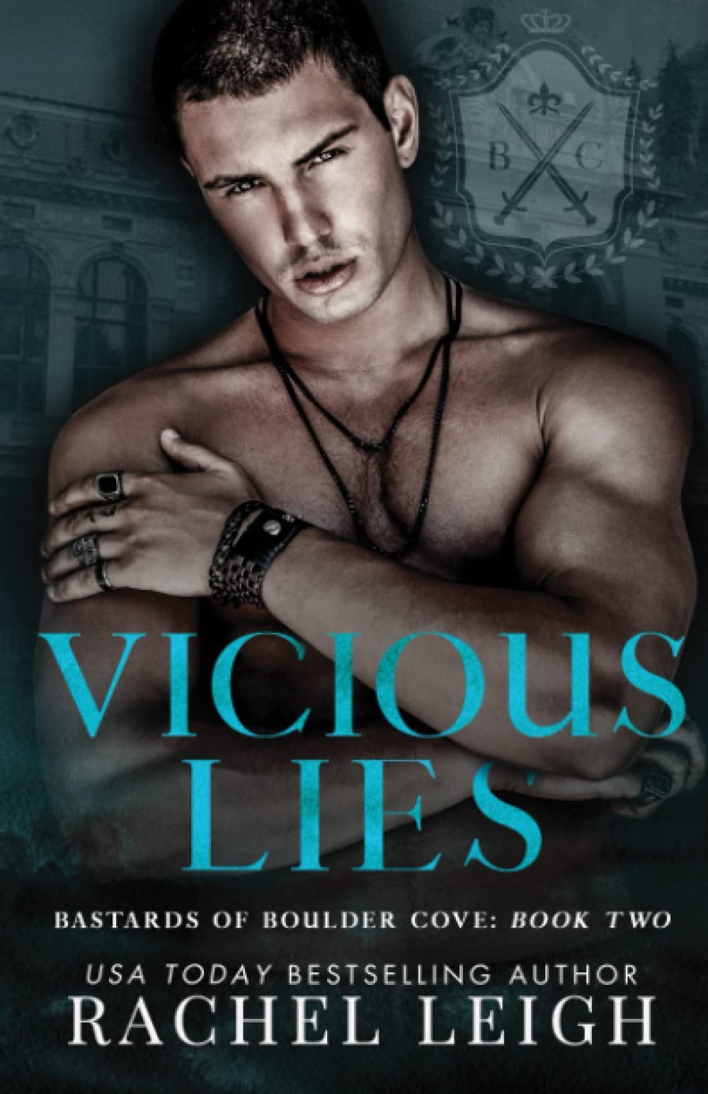 Vicious Lies: An Academy Romance (Bastards of Boulder Cove, Band 2) Romantic Thrillers