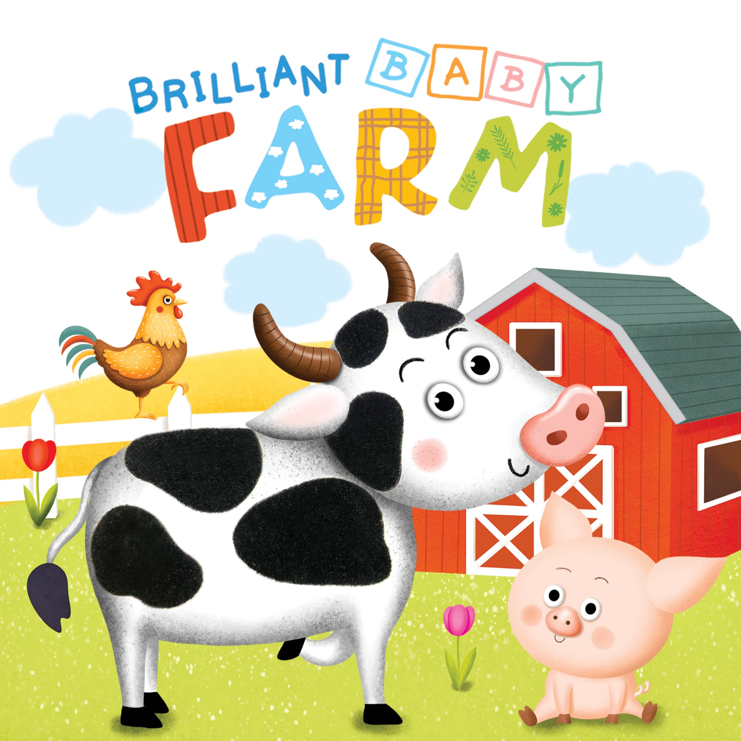 Brilliant Baby: Farm - Children's Touch and Feel and Learn Sensory Board Book Children's books
