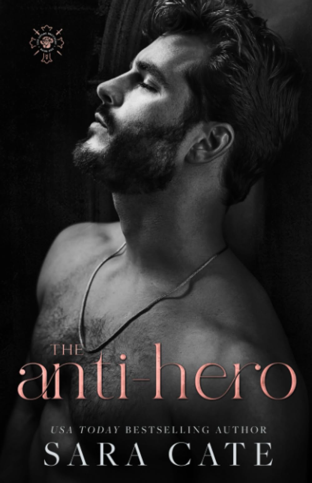 Product Image: The Anti-hero (The Goode Brothers)