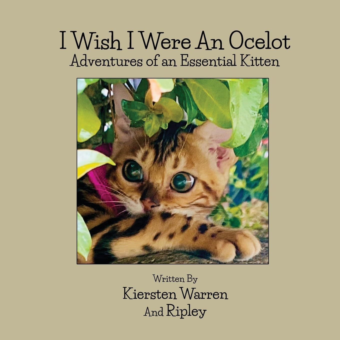 I wish I were an Ocelot: Adventures of an Essential Kitten Non-fiction