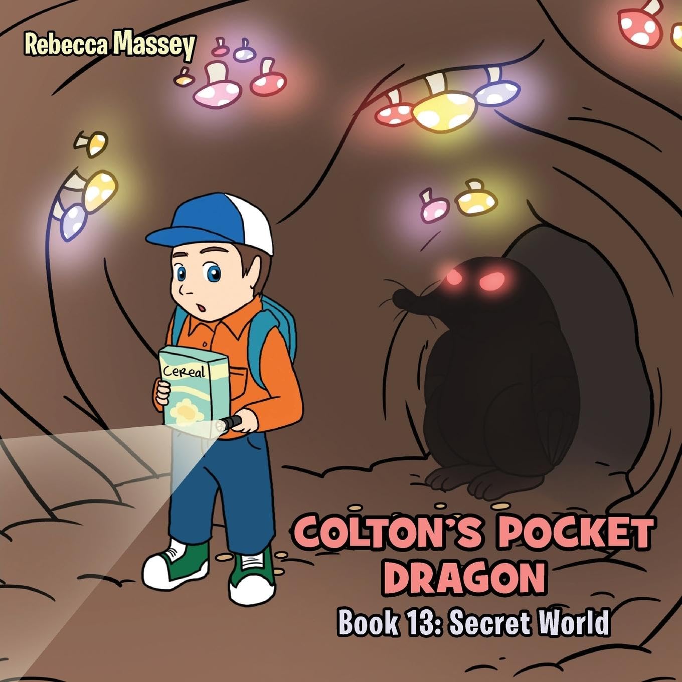 COLTON'S POCKET DRAGON Book 13 Contemporary literature