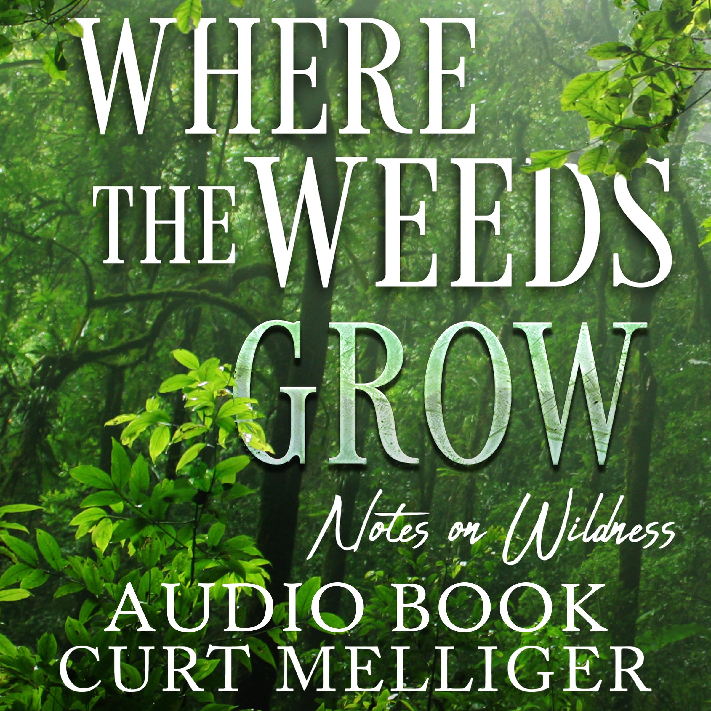 Where the Weeds Grow (Audiobook) Music