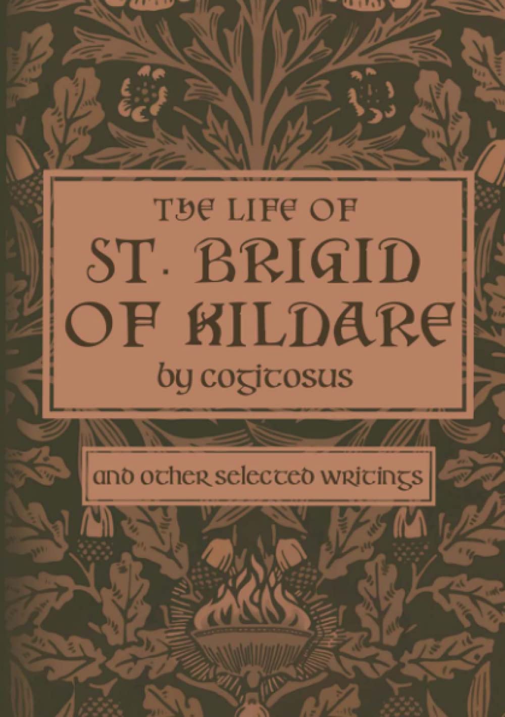 The Life of St. Brigid of Kildare by Cogitosus Politics & History