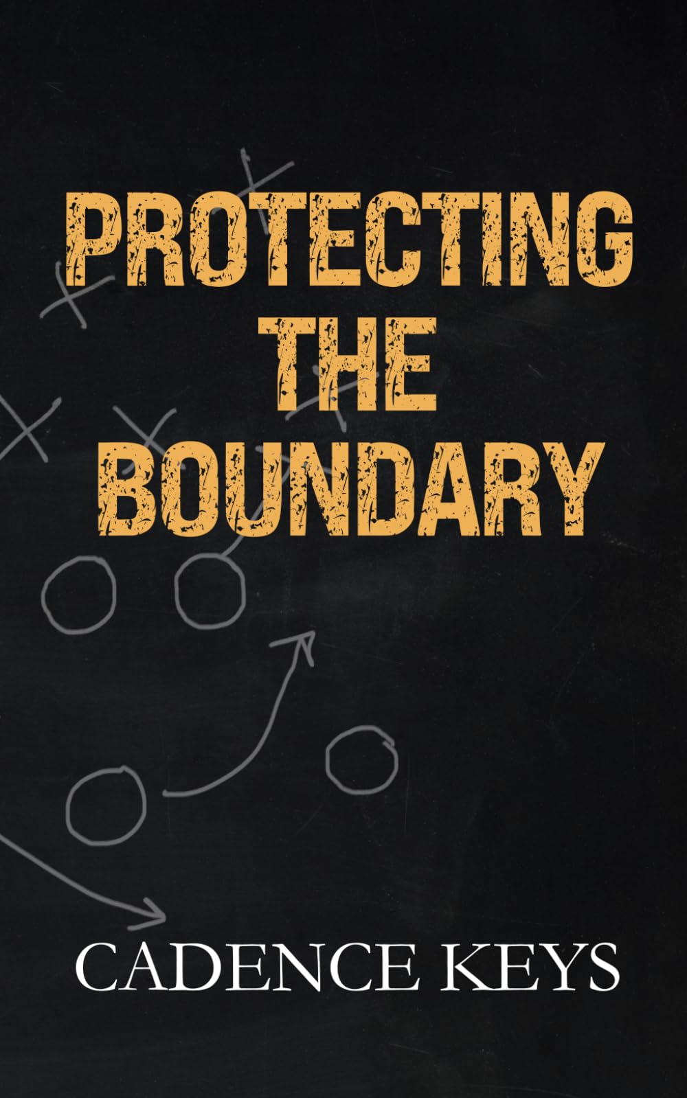 Protecting the Boundary: Discreet Edition (LA Wolves Discreet Editions, Band 8) Contemporary Romance