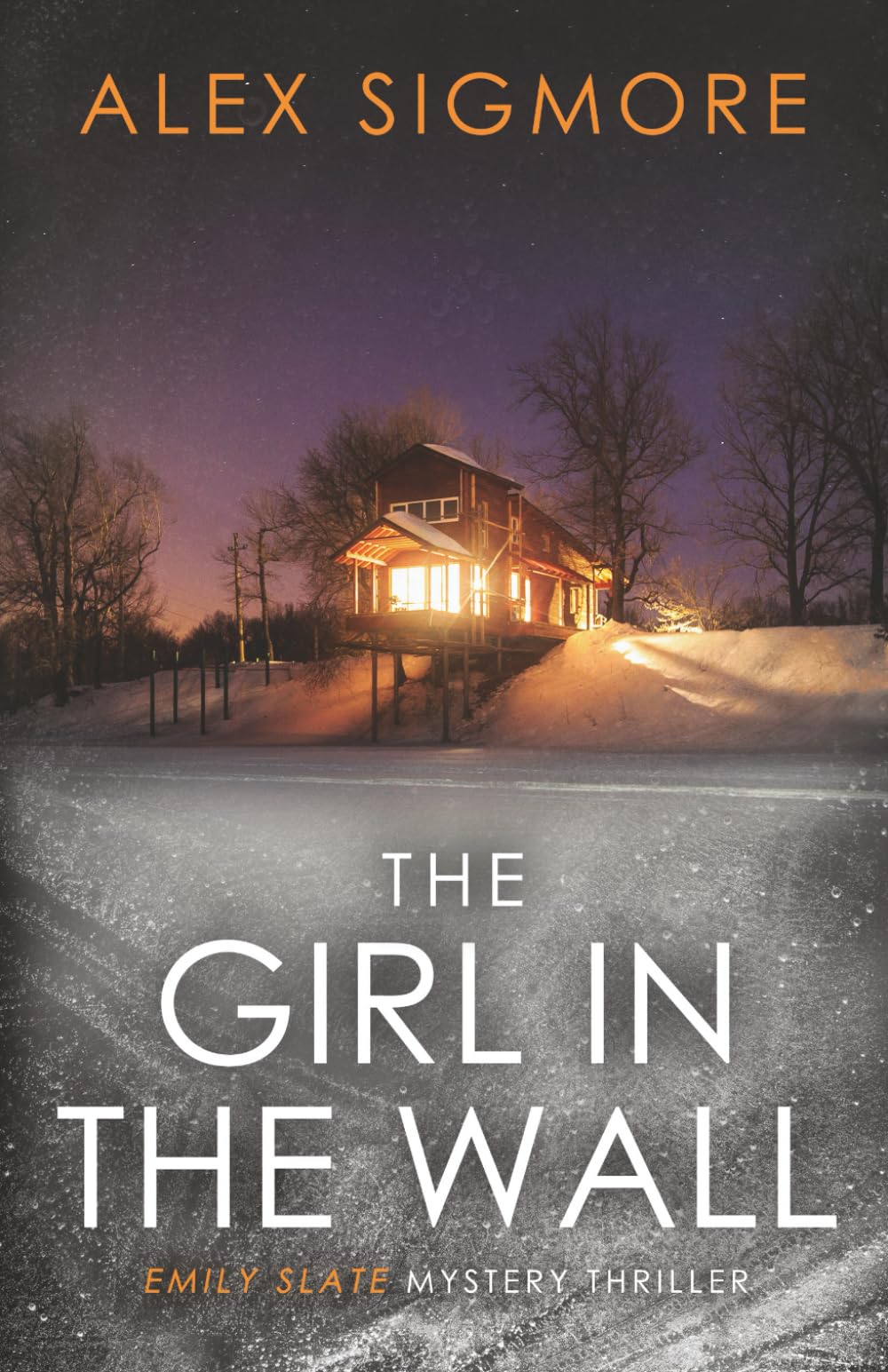 The Girl In The Wall Contemporary literature